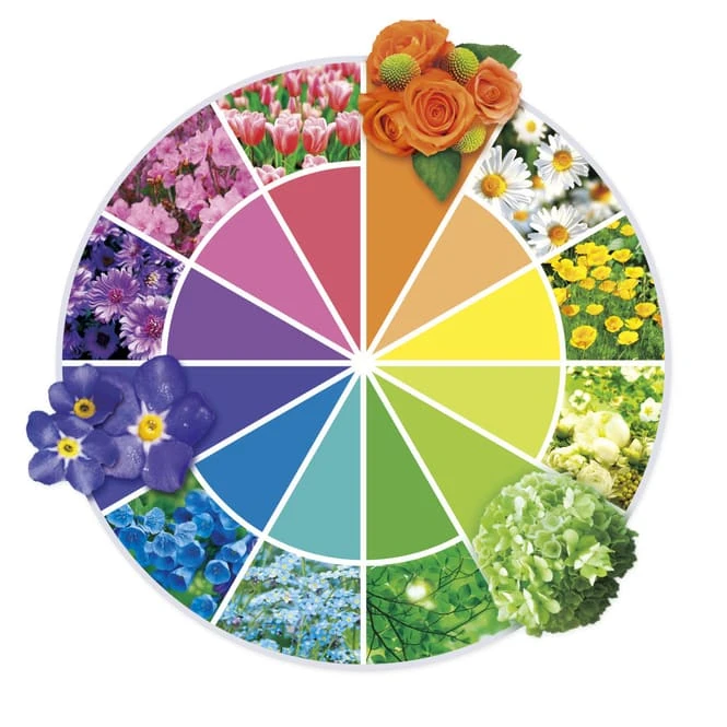 Besttoy Discover - Experimentierbaukasten - Bewässerungsanlage 3 Besttoy Discover - Experimentierbaukasten - Bewässerungsanlage