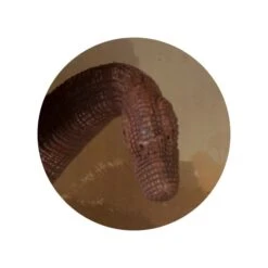 Dinowelt 3er Spielset - 24223 -Spielzeug Aktionen Geschäft 4016096242237 dinosaurier b 24223 b 24220 011