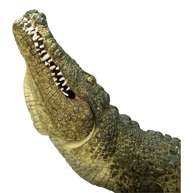 Besttoy Wildlife - Nilkrokodil - Spielfigur 387162 5 Besttoy Wildlife - Nilkrokodil - Spielfigur 387162 – Bild 4